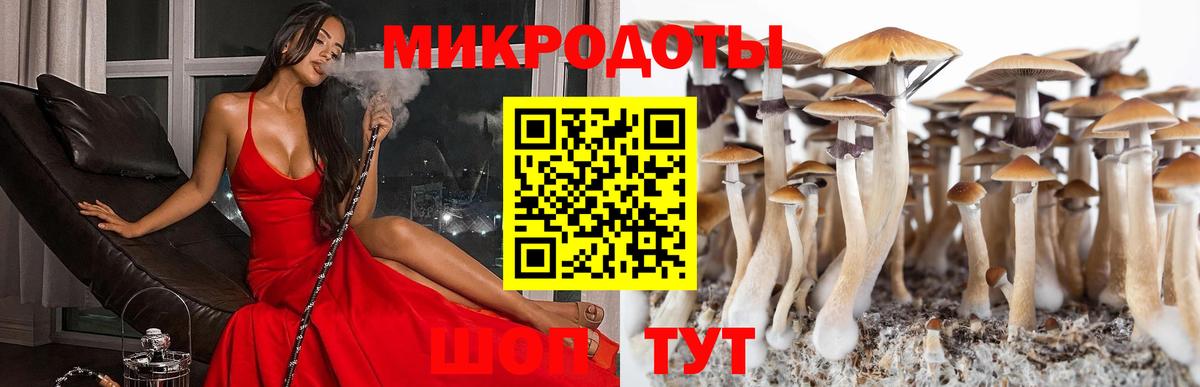 Губаха  Галлюциногенные грибы мухоморы  Вход с VPN 